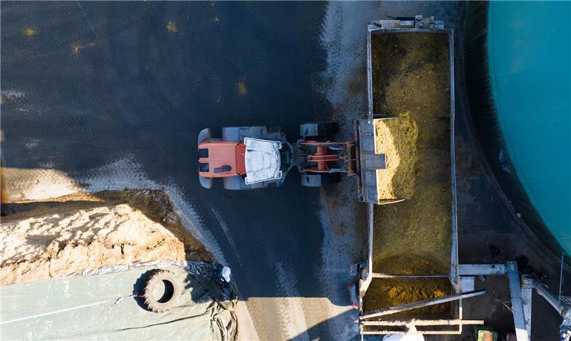 Mit einem Radlader wird Maissilage in die Biogasanlage gefahren (Aufnahme mit einer Drohne). Foto: Philipp Schulze/dpa
