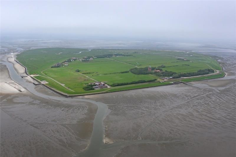 Mit einem Wattwagen fährt die Cuxhaven-Touristin Maren Holzen aus Braunschweig nach Neuwerk. Dort wird sie noch in einem Restaurant gesehen - danach verschwindet sie spurlos. Foto: dpa