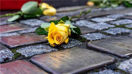 Mit einer Themenführung wird der Reichspogromnacht gedacht: Vor den letzten Wohnorten der Opfer des Nationalsozialismus sind Stolpersteine in den Gehweg eingelassen.