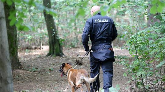 Mit großen Suchaktionen hatte die Polizei etwa im Altonaer Volkspark in Hamburg nach der vermissten Hilal gesucht. (Archivbild)