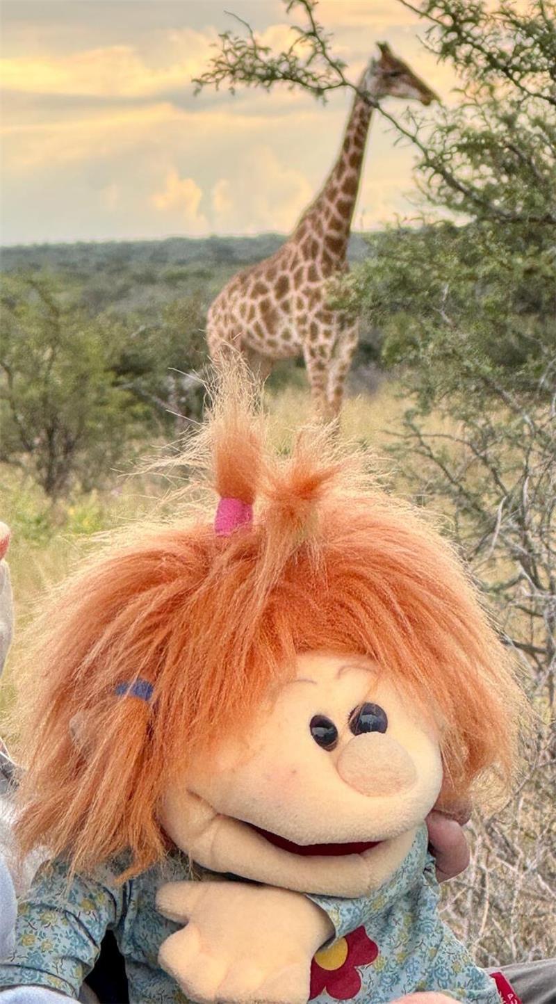 Krebs-Tod der Tochter: Wie diese Buxtehuderin ihre Trauer bewältigt Die Klappmaulpuppe inmitten der afrikanischen Wildnis mit einer Graffe im Hintergrund