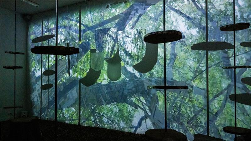 Mit ihrer raumgreifenden Installation „Choir of Fragments“ schafft Julia Nordholz ein eindrückliches Kunsterlebnis zum Lebensraum Wald.