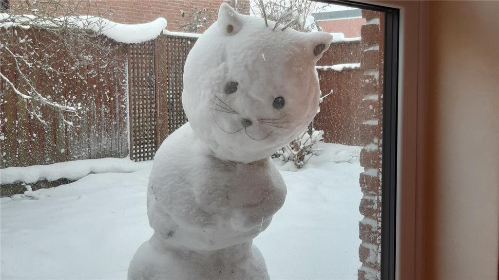 Mit liebe zum Detail: Diese süße Katze trotzt jedem Schneesturm. Gebaut von Luna...
