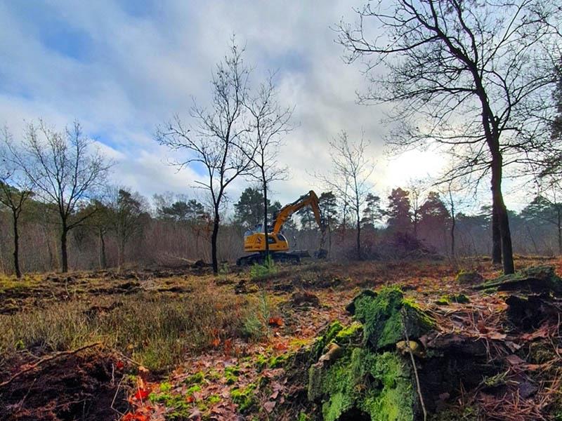 Mit schwerem Gerät werden Büsche und Bäume auf der Heidefläche im oberen Mühlenbachtal entfernt. Foto: Landkreis Harburg