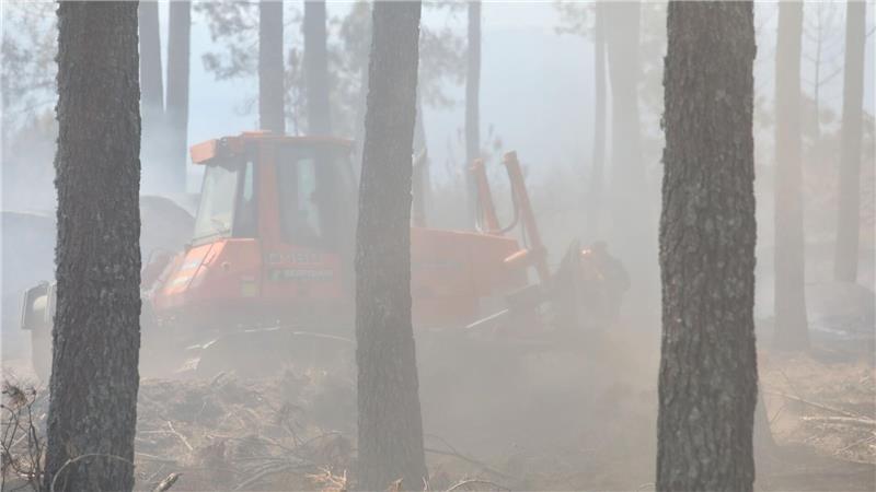 Brände in Südeuropa und Türkei lassen nach - aber neue Hitze Mit schwerem Gerät wie dieser Planierraupe schlagen Brandbekämpfer Schneisen in die Wälder, um so die Flammen einzudämmen.