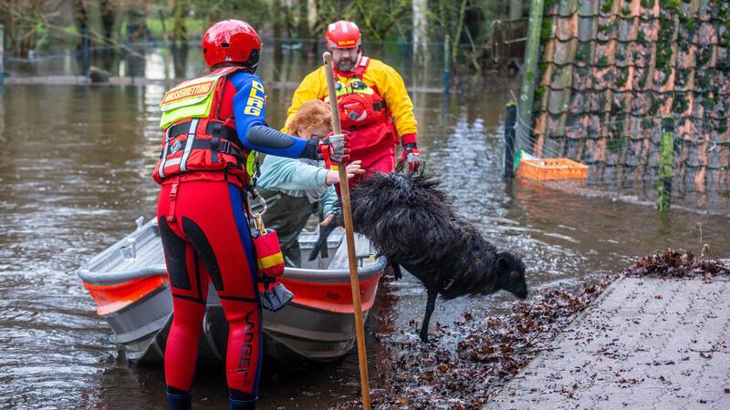 Serengeti-Park säuft ab, Tiere gefährdet: DLRG aus Kreis Stade rückt an Mitarbeiter der DLRG retten in der Wedemark Heidschnucken.