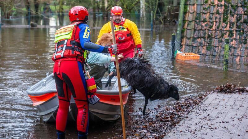 Hochwasserlage: Kampf gegen Überflutung und Aufatmen Mitarbeiter der DLRG retten in der Wedemark Heidschnucken.