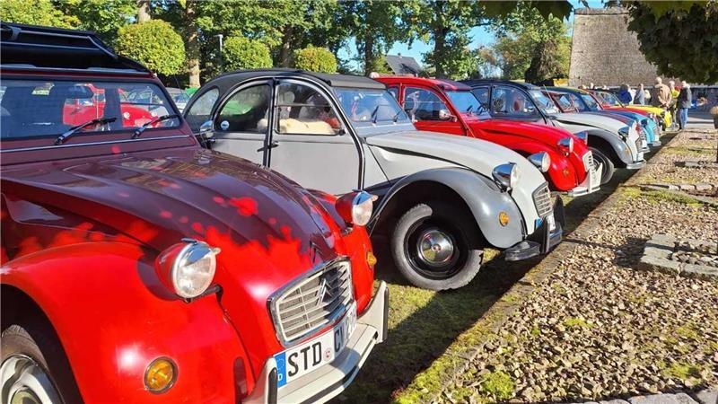 Eine Hommage an ein Kult-Auto: Enten-Treffen in Helmste Mitglieder der Enten-Clique trafen sich in Helmste.