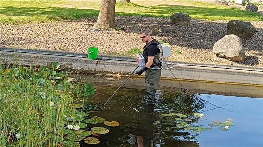 Mitglieder des Anglervereins Stade bemerkten am Wochenende einige tote Fische in den Teichen am Stadeum und starteten daraufhin eine Rettungsaktion.