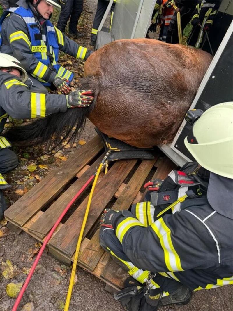 Mithilfe von Hebekissen und vereinten Kräften gelang es uns, das Pferd aus seiner misslichen Lage zu befreien.