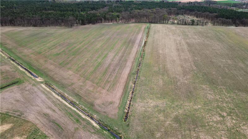 Mitte April und vertrocknetes Gras - Blick auf eine Wiese im Landkreis Oberhavel in Brandenburg (Aufnahme mit einer Drohne). (Archivbild)