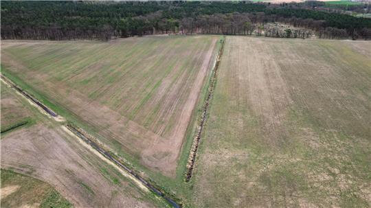 Mitte April und vertrocknetes Gras - Blick auf eine Wiese im Landkreis Oberhavel in Brandenburg (Aufnahme mit einer Drohne). (Archivbild)