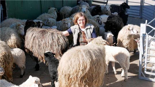 Mittlerweile hat Jana Ingerowski 89 Walachenschafe. Eine richtige kleine Herde, auf die die Ahlerstedterin stolz ist.