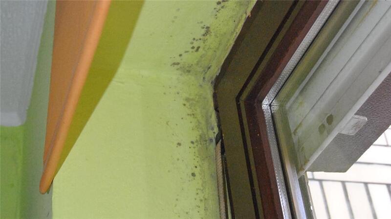 Mittlerweile ist der Schimmelbefall nahezu in jedem Raum der Wohnung aufgetreten - hier die Küche.