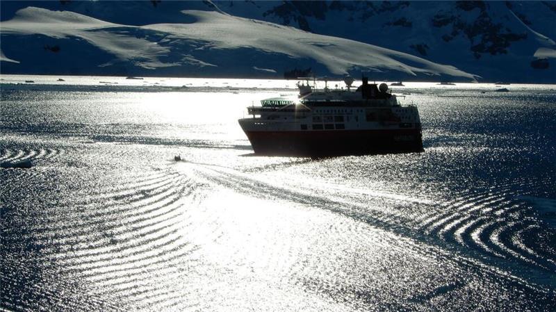 Influencer im ewigen Eis: Wird die Antarktis zum Massenziel? Mittlerweile reisen Schiffe für alle Interessen und Neigungen ins Südpolarmeer.