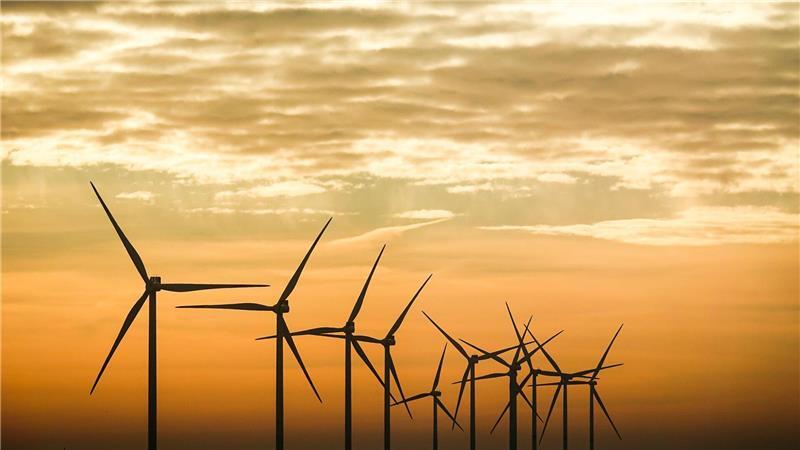 Mittlerweile sind Windräder mit einer Gesamtleistung von 9,5 Gigawatt in Schleswig-Holstein ans Netz gegangen. (Symbolbild)