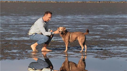 Moderator und Hundeprofi Jochen Bendel gibt Tipps, wie Hundehalter ihr Rudel erweitern können. Foto: Gräfe und Unzer Verlag/Debra Bardowicks