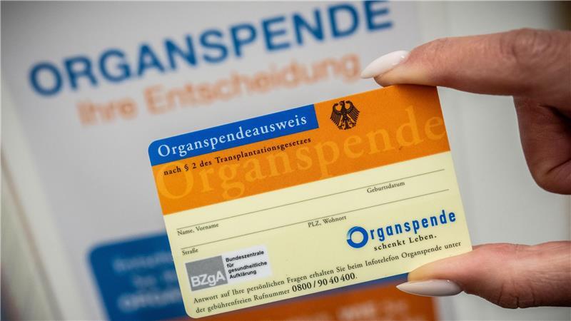 Eine Frau hält einen Organspendeausweis in der Hand.