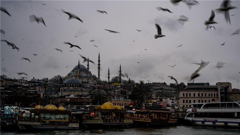 Möwen fliegen an einem regnerischen Tag über dem Bosporus.
