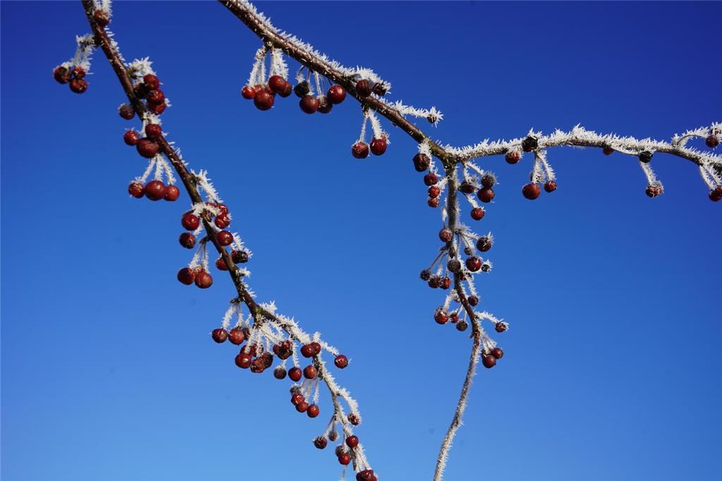 Momentaufnahme am Stader Holzhafen.