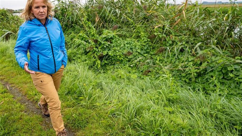 Moore sind nach den Worten von Bundesumweltministerin Steffi Lemke (Grüne) „Alleskönner“. Doch nur, wenn sie intakt sind. (Archivbild)