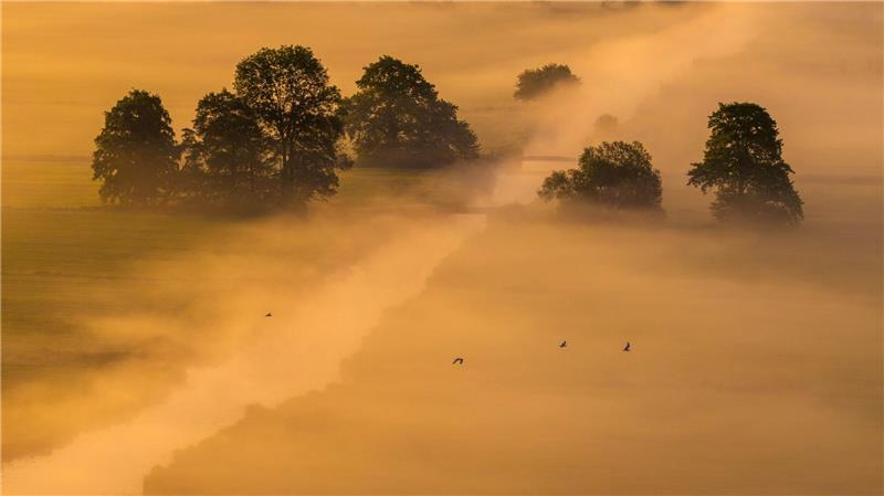 Morgennebel und Sonnenaufgang