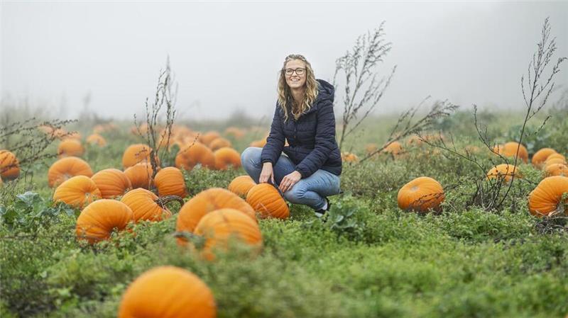 Morgennebel und leuchtend orangefarbene Kürbisse auf dem Acker: Imke Hühnken hat ihr Feld noch nicht ganz abgeerntet.