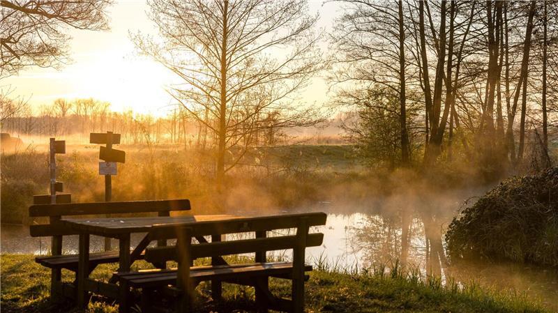 Morgens im Spreewald