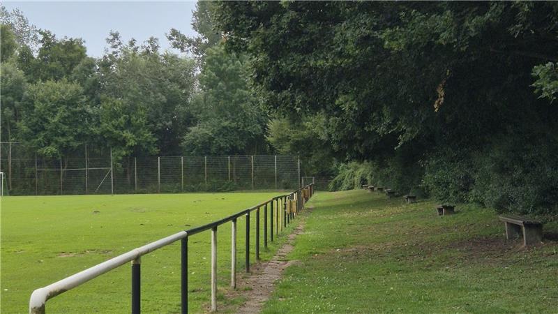 Morsche Äste hängen bis in das Spielfeld hinein und gefährden Spieler wie Zuschauer.