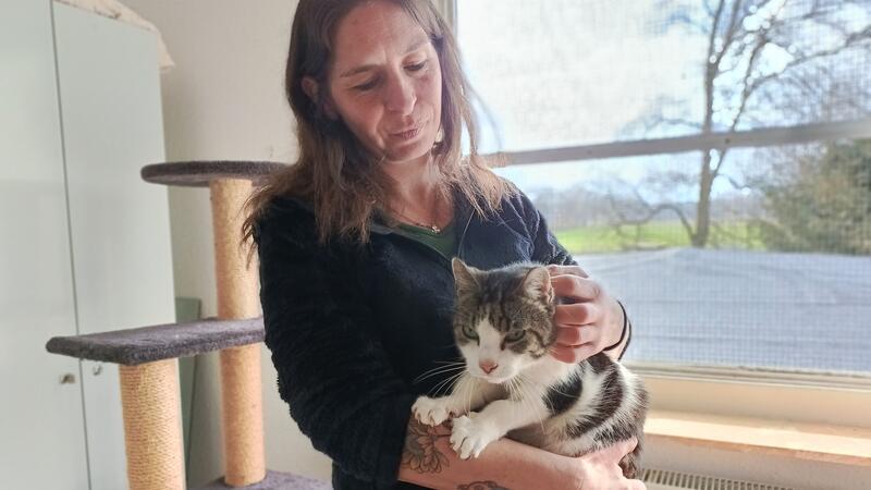 Motte, lieb und verschmust, hat Zucker. Sie darf nicht zu anderen Katzen, denn sie bekommt Spezialfutter.
