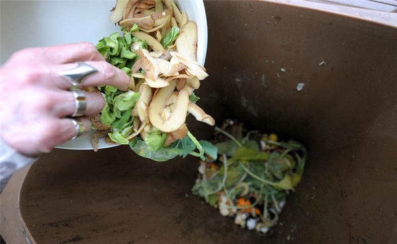 Müll wird in eine Biotonne gekippt. Foto: Peter Steffen/dpa