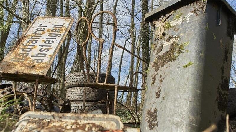 Immer wieder illegale Müllkippen im Wald Mülltonnen, Schilder, Reifen – vielerlei Unrat wurde am Rand des Waldes abgeladen. Foto: Loki-Schmidt-Stiftung / Peter Czikowski