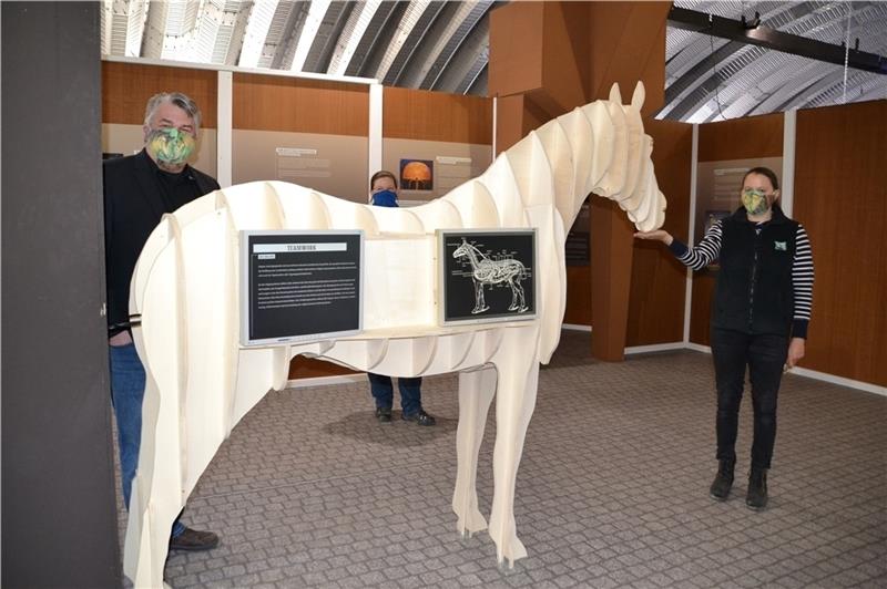 Museumsleiter Lars Lichtenberg, Ausstellungskuratorin Petra Nikolay und PR-Frau Katharina Jothe führen durch die Ausstellung. Das hölzerne Pferd , angefertigt von den Natureumstischlern, taucht gleich mehrfach in der Ausstellungshalle auf. 