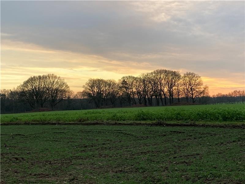 Mystischer Ort nicht nur bei Sonnenuntergang: Blick auf die Nekropole Daudieck westlich des Auetals bei Issendorf mit seinen markanten Grabhügeln. Fotos: Vasel