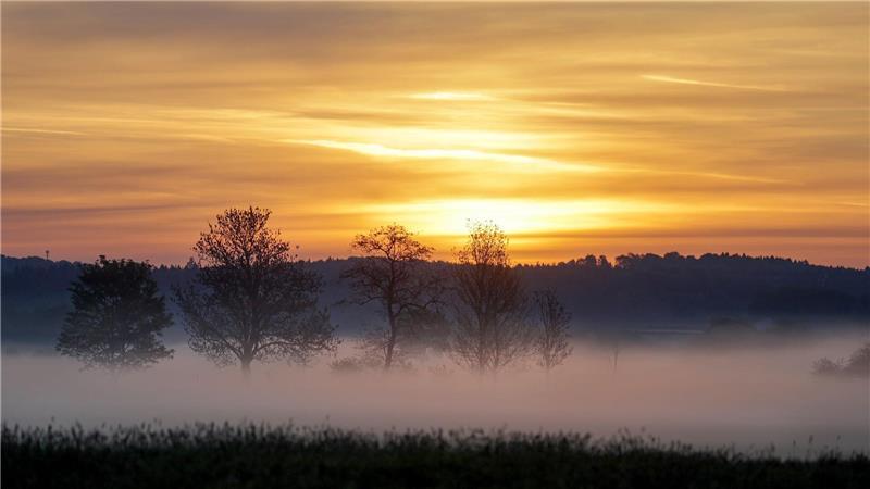 Mystischer Start in den Tag: Bodennebel und Sonnenaufgang in Unlingen