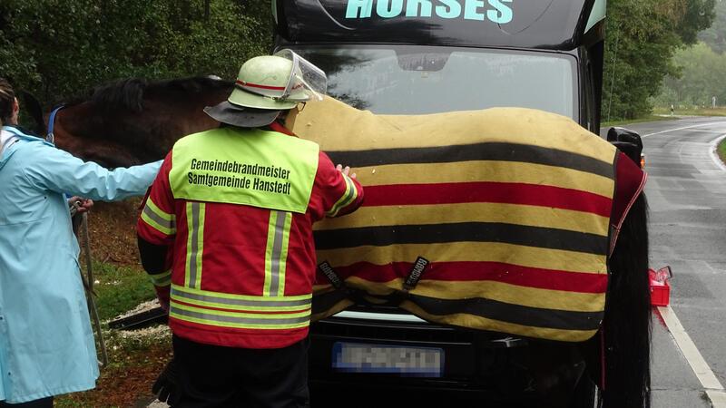 Nach Angaben der Feuerwehr blieb das Pferd unverletzt.