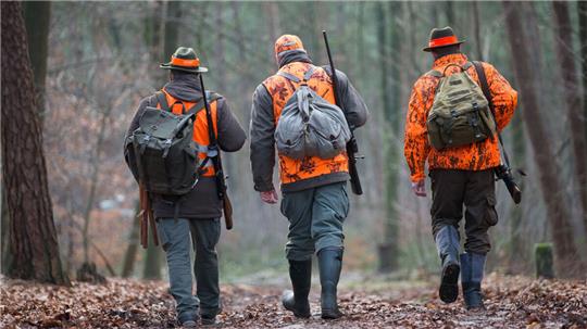 Nach Angaben des Deutschen Jagdverbandes steigt die Zahl der Jagdscheinhaber und -inhaberinnen in Deutschland seit Jahren kontinuierlich. Foto: Friso Gentsch / dpa