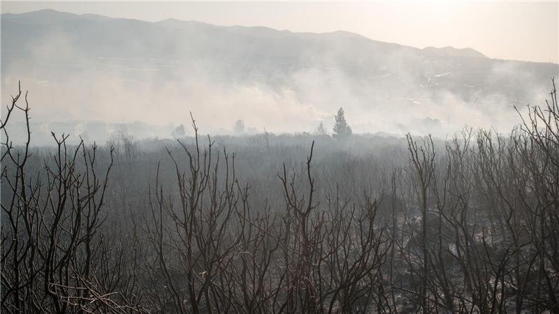 Einsatzkräfte bekämpfen Großbrände in Izmir und Hatay Nach Angaben des Landwirtschaftsministers seien vier Flugzeuge und 14 Hubschrauber zur Brandbekämpfung im Einsatz.