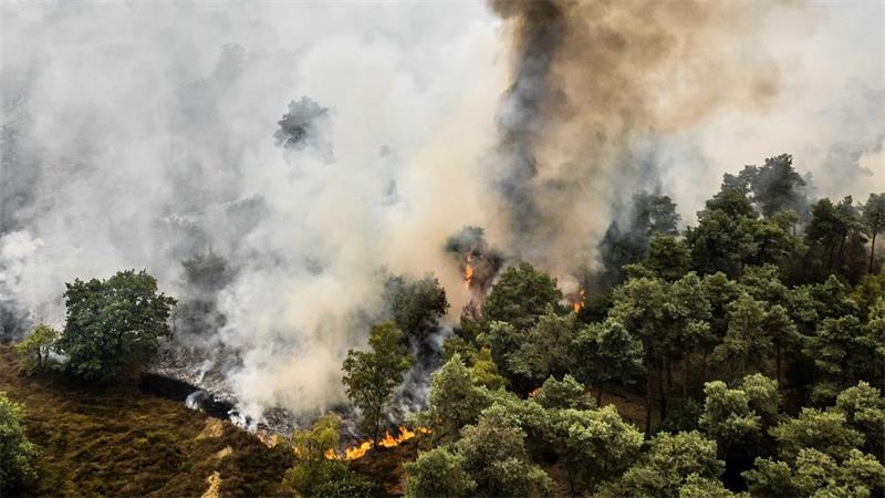 Nach anhaltender Trockenheit breiten sich die Flammen im Naturschutzgebiet De Rosmolen schnell aus.