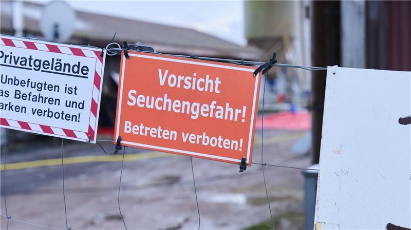 Deutschland frei von Maul- und Klauenseuche – weiter Risiken Nach dem Ausbruch der Maul- und Klauenseuche im brandenburgischen Hönow ist die Sperrzone mit Restriktionen für Landwirte aufgehoben (Archivbild).