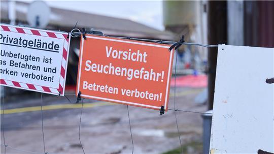 Nach dem Ausbruch der Maul- und Klauenseuche im brandenburgischen Hönow ist die Sperrzone mit Restriktionen für Landwirte aufgehoben (Archivbild).