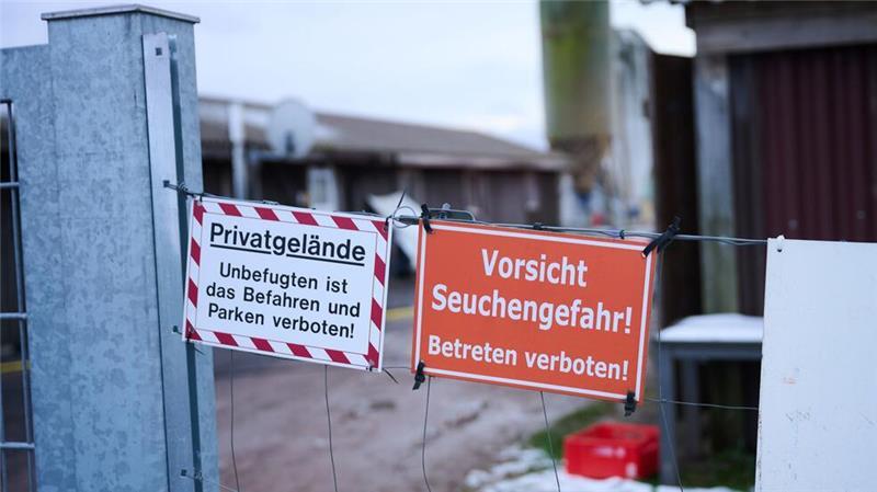 Nach dem Ausbruch der Maul- und Klauenseuche in Brandenburg hat die Landesregierung das bestehende Verbot von Tiertransporten um 48 Stunden verlängert (Archivbild).