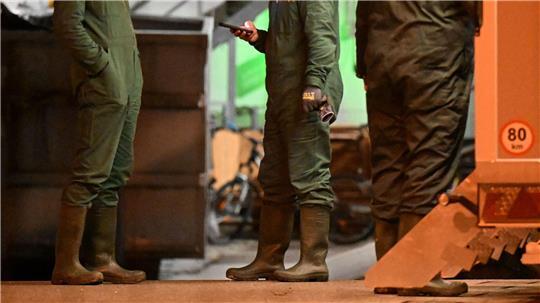 Nach dem Ausbruch der Vogelgrippe in Baden-Württemberg müssen in einem Geflügelbetrieb im Alb-Donau-Kreis südöstlich von Stuttgart rund 15.000 Tiere getötet werden.