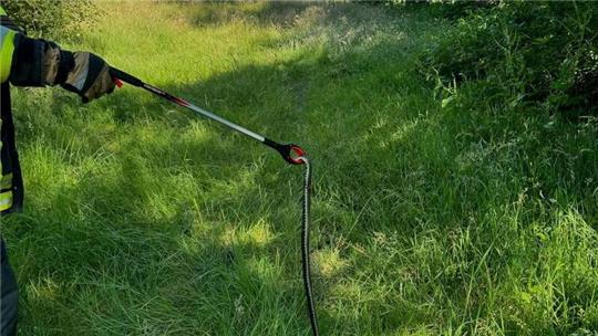 Nach dem Ausflug in die Stadt wurde die Ringelnatter wieder in ihrem natürlichen Habitat ausgesetzt.