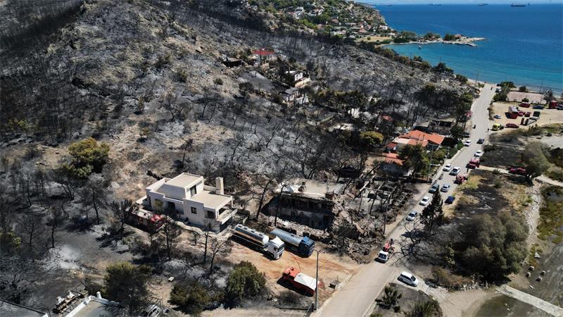 Nach dem Feuer auf der griechischen Insel Salamis ist ein Berghang verbrannt und voll Asche.