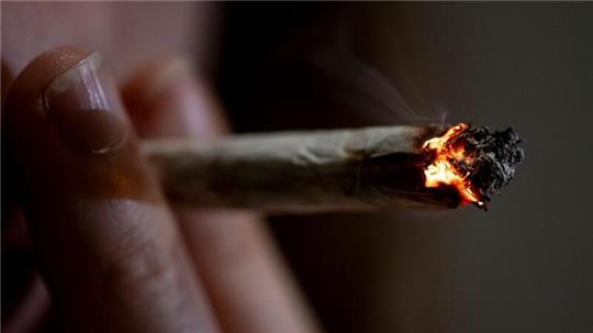 Nach dem Gesetz der Ampel-Koalition sollen Besitz und Anbau von Cannabis mit zahlreichen Vorgaben für Volljährige zum Eigenkonsum legal werden.