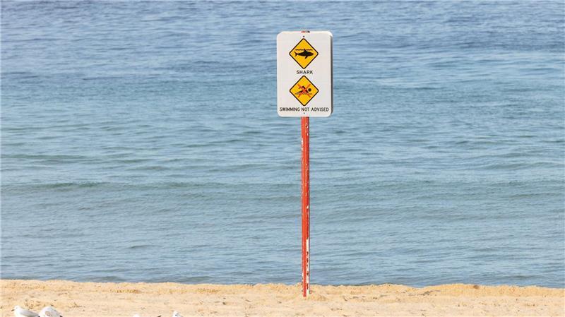 Nach dem Hai-Angriff wurde der betroffene Strand aus Sicherheitsgründen geschlossen.