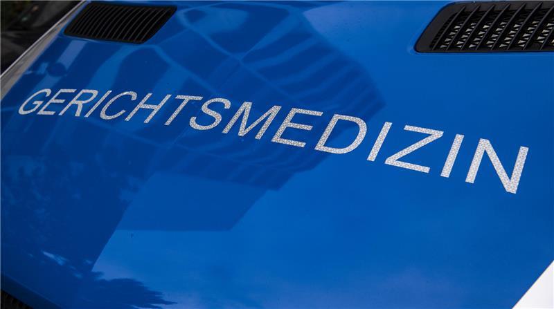 Nach dem Knochenfund in einem Waldstück bei Deinste werden die menschlichen Überreste rechtsmedizinisch untersucht. (Symbolbild)