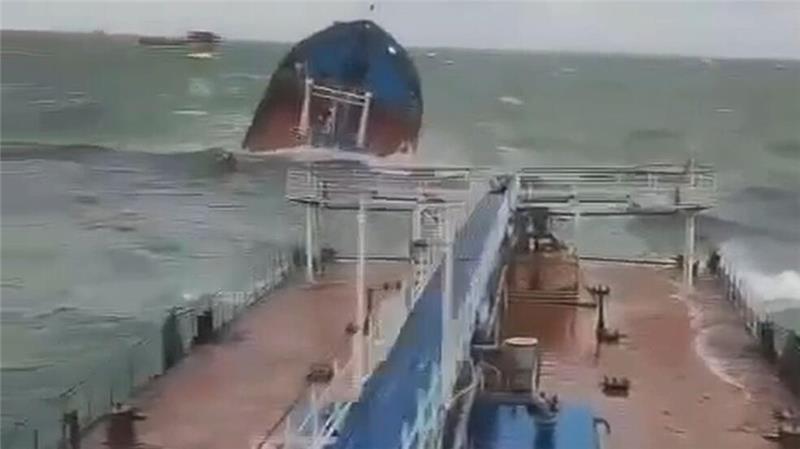 Immer mehr Delfine verenden wegen Ölpest im Schwarzen Meer Nach dem Untergang der zwei Öltanker werden immer mehr tote Tiere im Schwarzen Meer gefunden. (Handout/Archiv)