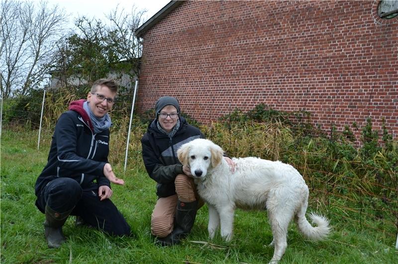 Nach dem Wolfsriss vor fünf Wochen haben sich Marleen (links) und Steffi Lemke zwei fünf Monate alte Herdenschutzhunde, hier Dexter, gekauft.